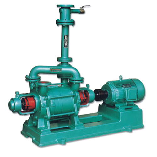 Reciprocating Vacuum Pumps